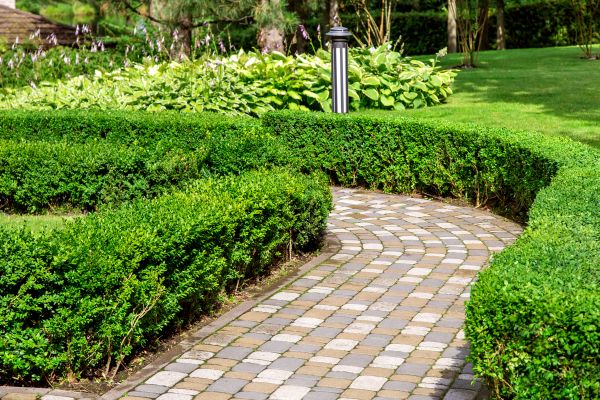 Cost of Paved Landscaping in Tacoma