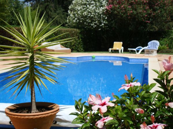 Cost of Pool Terrace Renovation in Tacoma