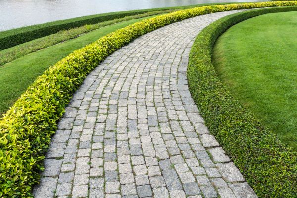Cost of Sidewalk Pavers Installation in Tacoma