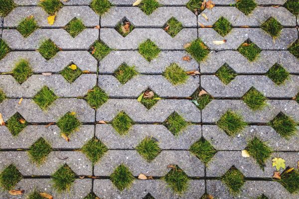 Cost of Porous Paver Installation in Tacoma