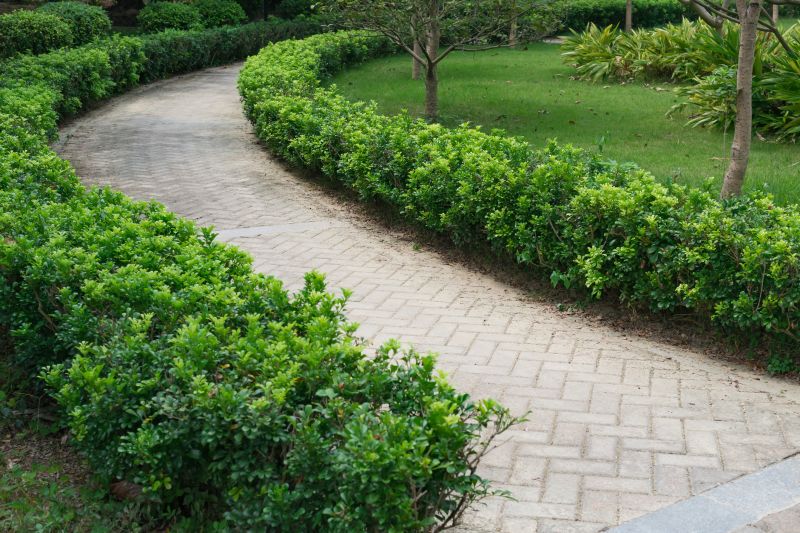 Patterned Paver Pathway